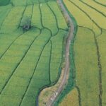 A Guide to Investing in Nepali Lands