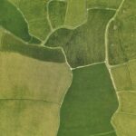 Nepal’s Real Estate Trends to Watch