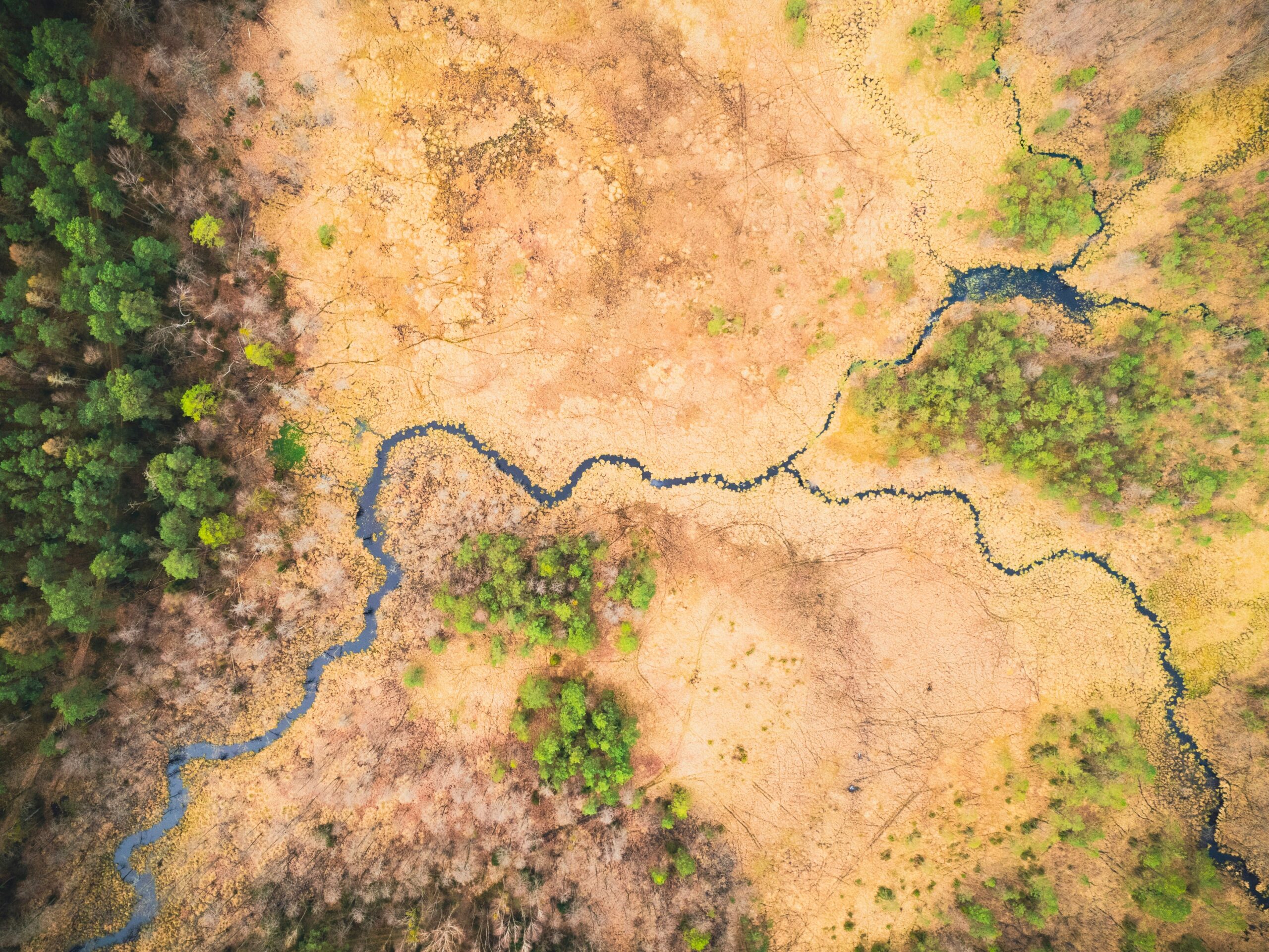 Hello World Featured Image